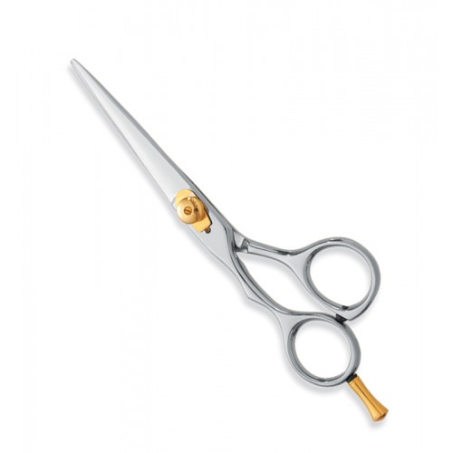 Professional hair Cutting Scissors