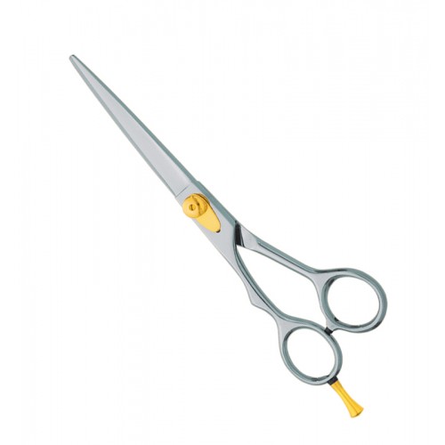 Professional hair Cutting Scissors