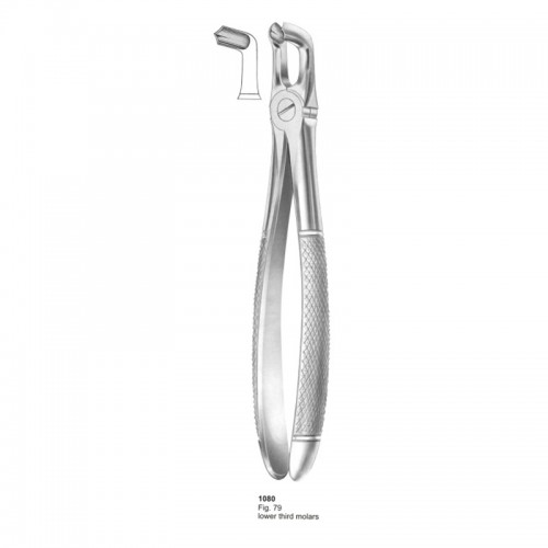 Extracting Forceps